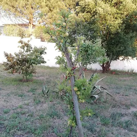 Casa De Sa Δωμάτια σε οικογενειακή κατοικία
