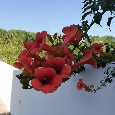 Casa De Sa Δωμάτια σε οικογενειακή κατοικία